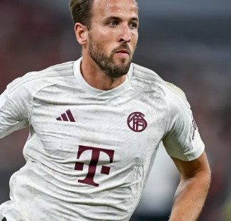 技艺的体现 技艺的体现