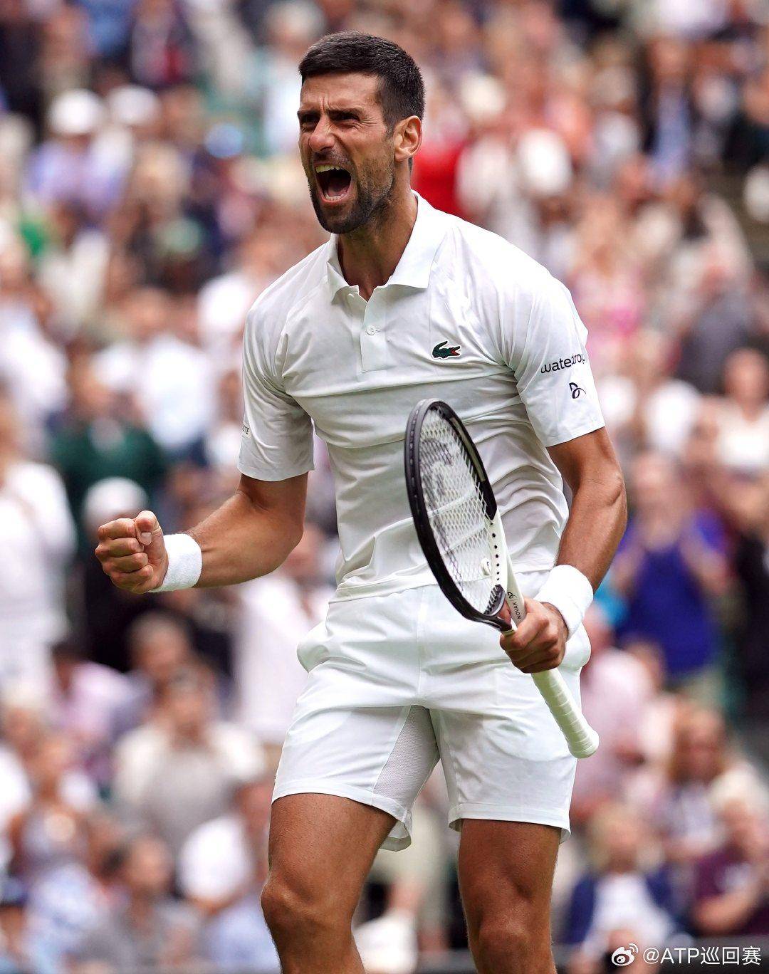 高回弹坐垫 高回弹坐垫